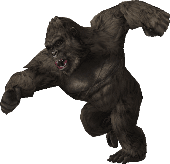Kong 2021